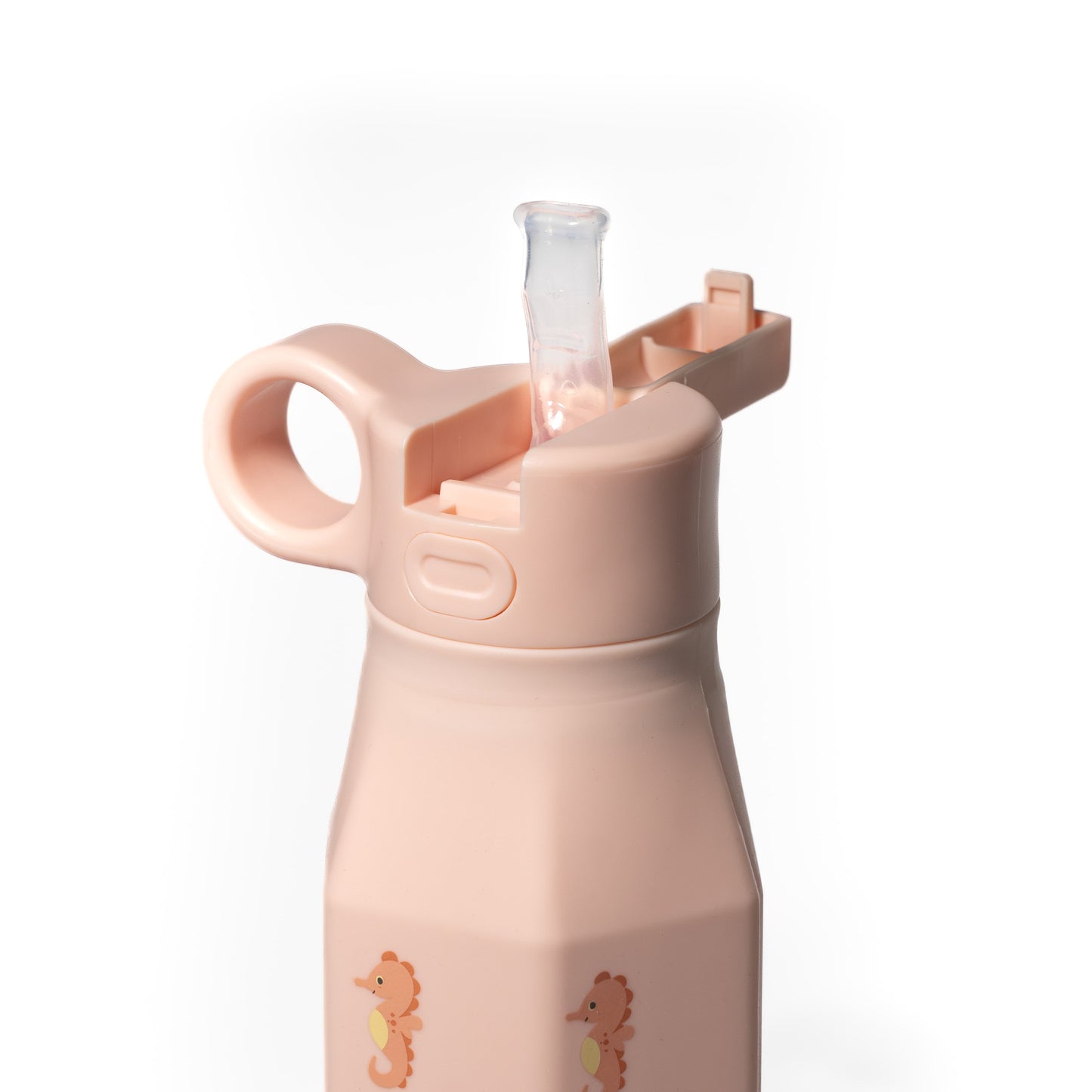 Gourde Akron l Hippocampe